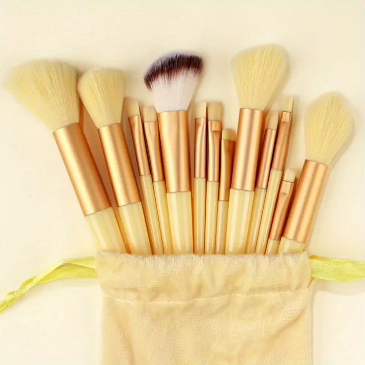 13-Piece Professional Makeup Brush Kit
